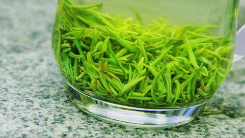 品味信陽毛尖的藝術(shù) 正確沖泡，方能盡顯清香