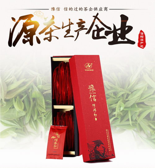 豫信紅茶與信陽毛尖 品味信陽的雙重茶韻